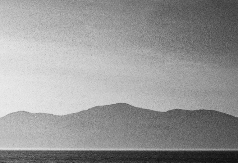 Affiche du film Flore Laurentienne