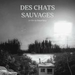 Affiche du film Des chats sauvages