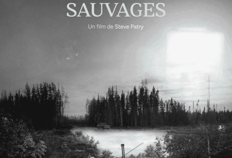 Affiche du film Des chats sauvages