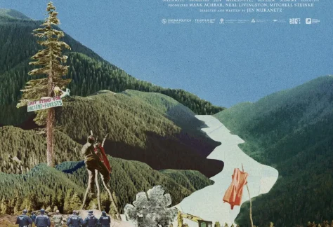 Affiche du film Fairy Creek