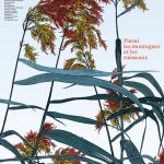 Affiche du film Parmi les montagnes et les ruisseaux