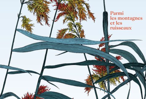 Affiche du film Parmi les montagnes et les ruisseaux