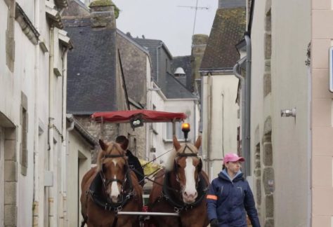 Affiche Au son des sabots