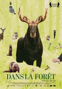 Affiche Dans la forêt