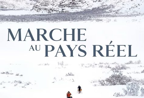 Affiche du film Marche au pays du réel