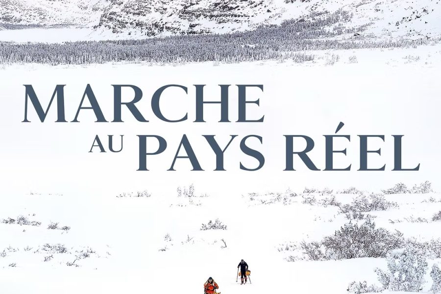 Affiche du film Marche au pays du réel